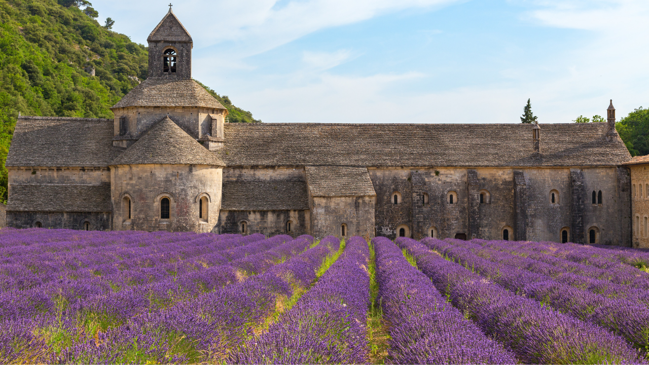 For the Feast of Saint Benedict | July 11th 2021