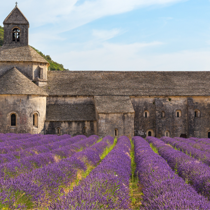 For the Feast of Saint Benedict | July 11th 2021