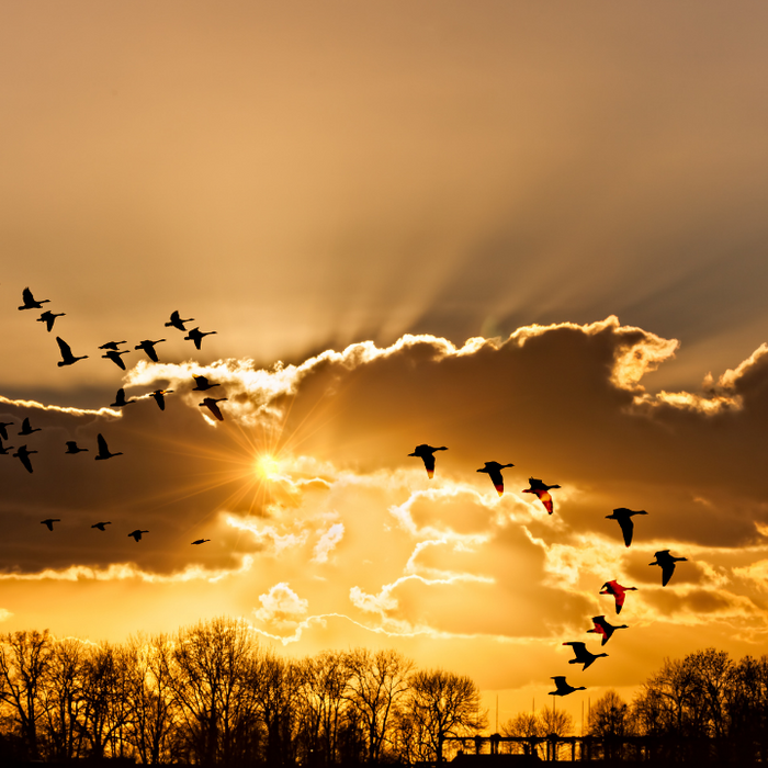 A Kind of Wonder Reveals Itself