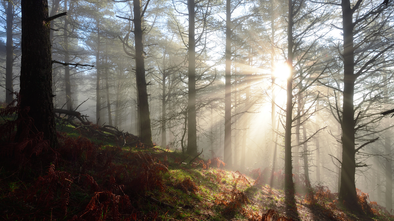 Homily By Edward Clarke