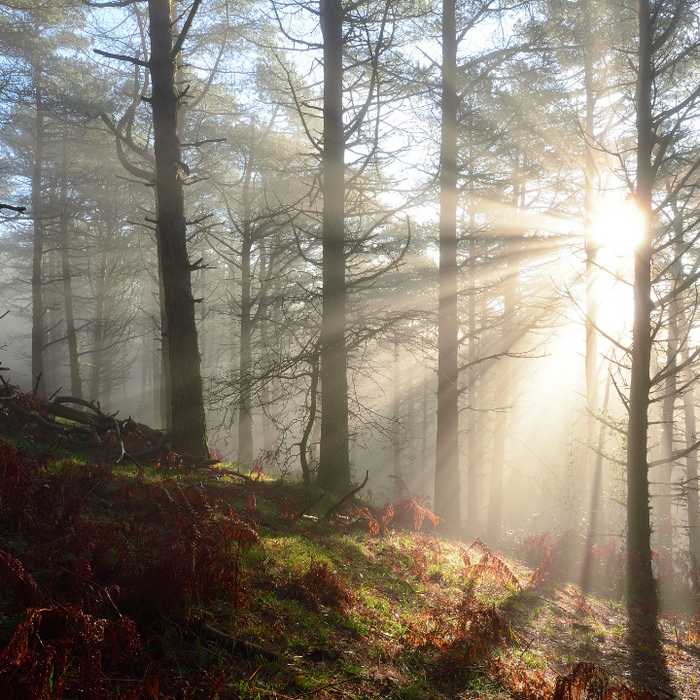 Homily By Edward Clarke