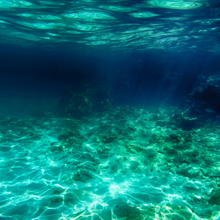 Midrash In September And October