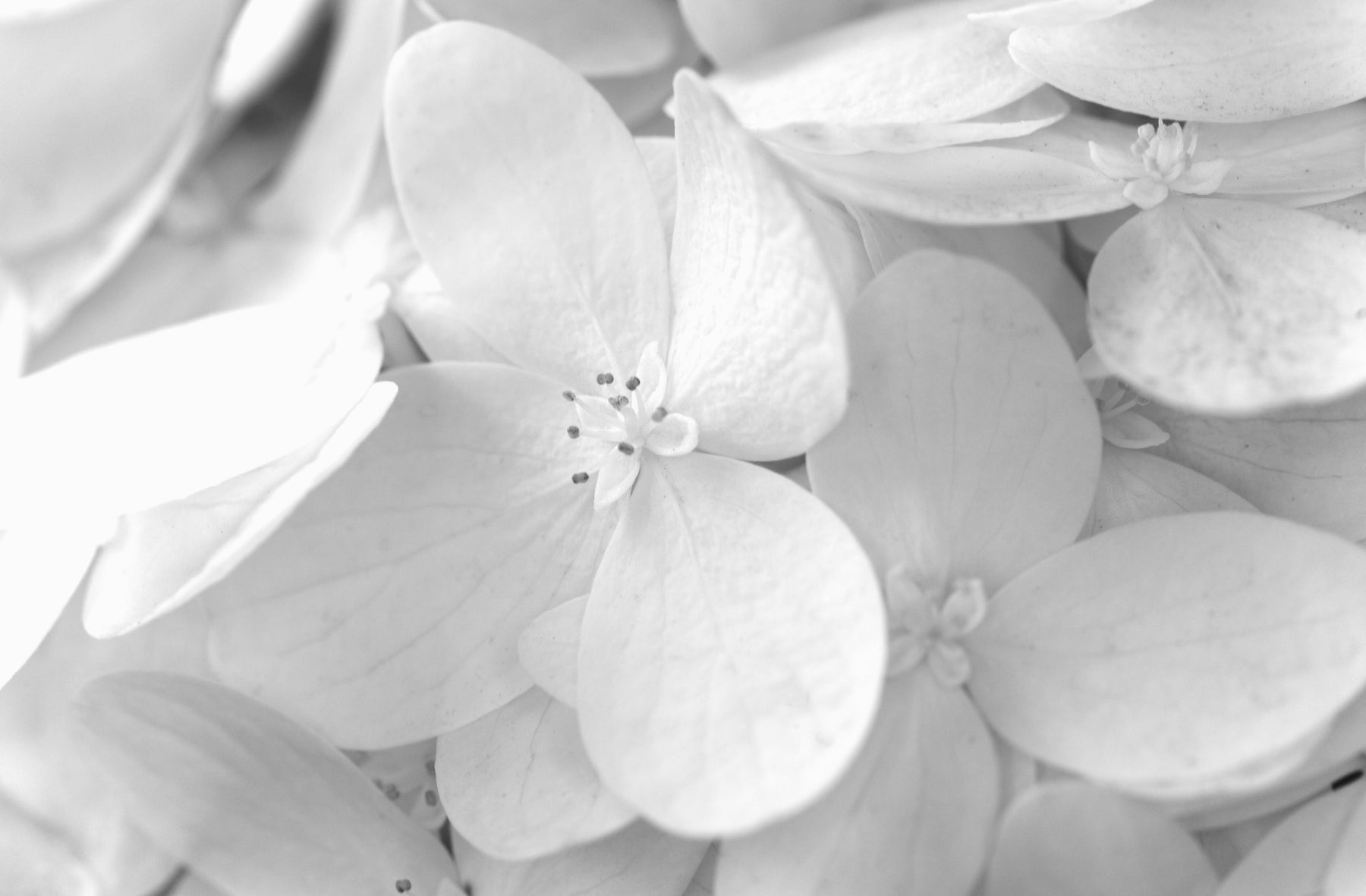 Feast of Justin, Martyr