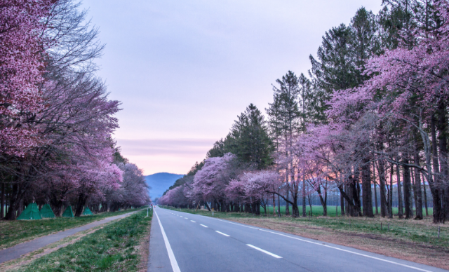 The Song of the Spirit