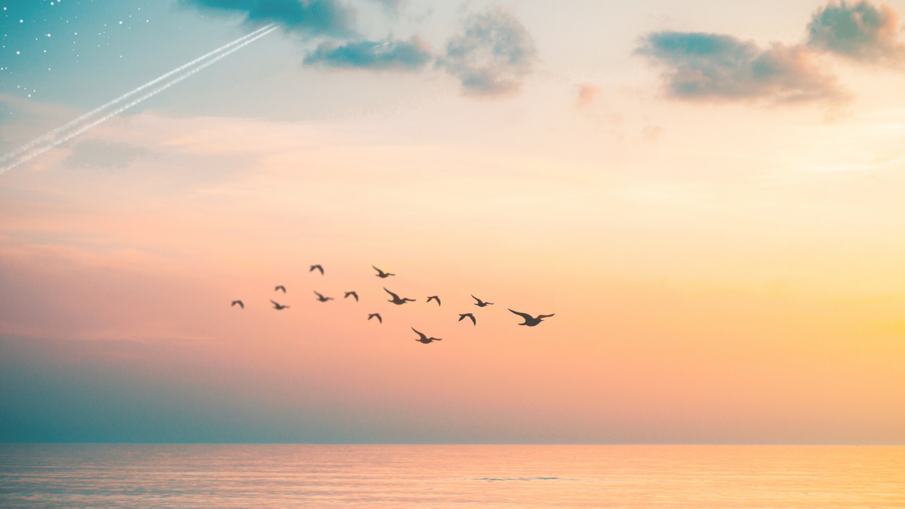 When the Wing Gives Way