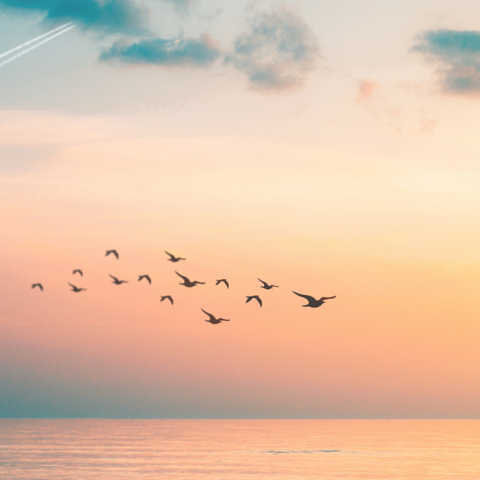 When the Wing Gives Way