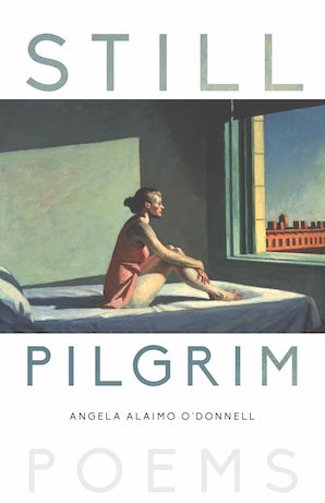 Still Pilgrim